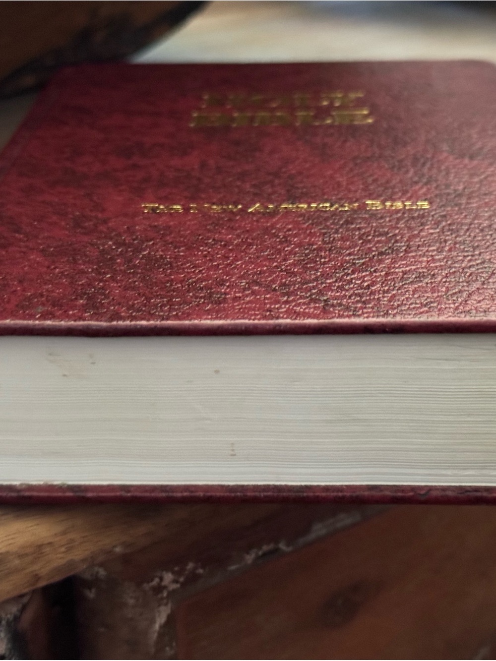 Holy Bible - The New American Bible - Picture 4 of 11